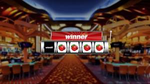 Winner casino Winners 2 winner casino winners